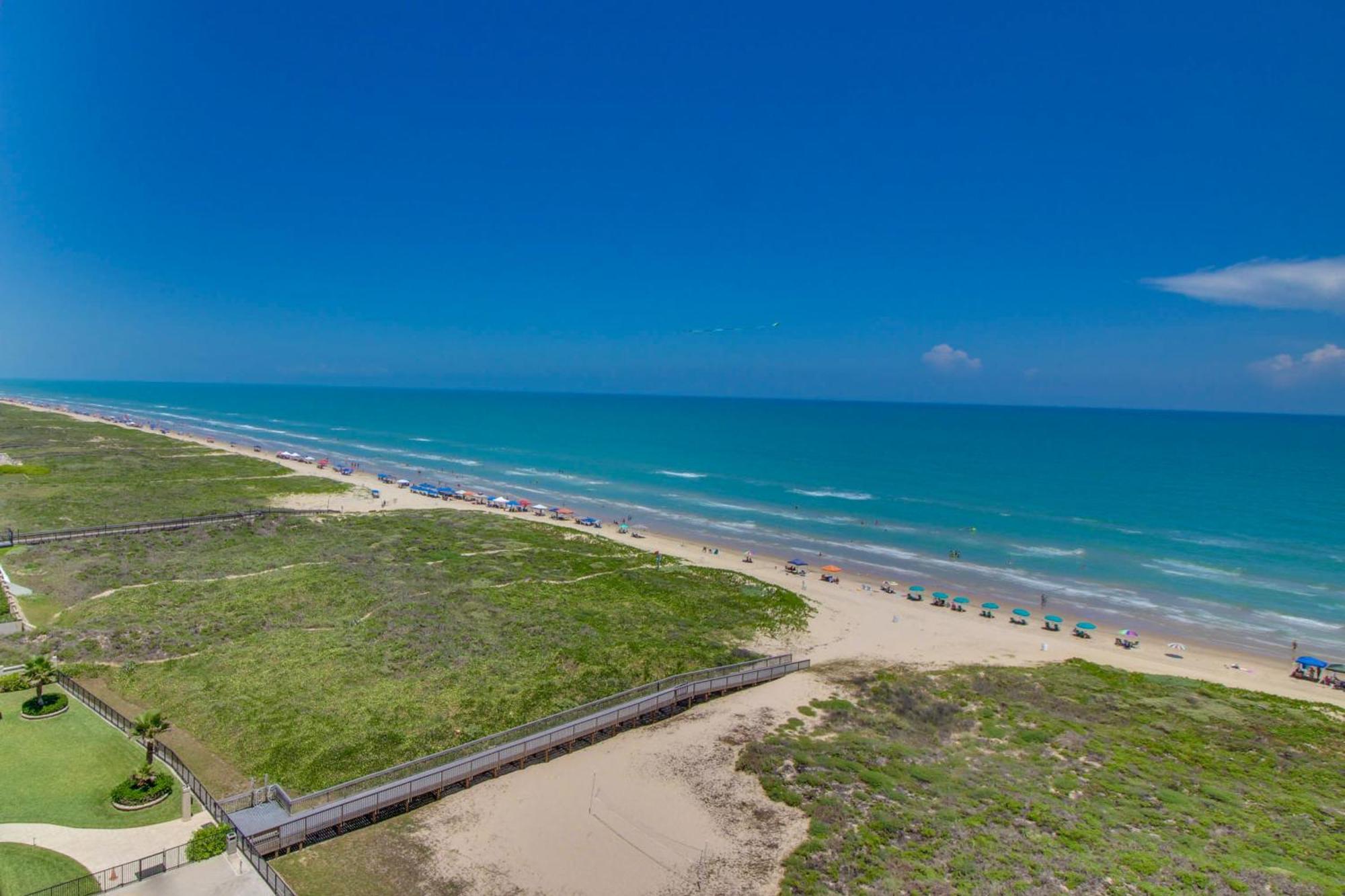 Ocean Vista #1101 Lejlighed South Padre Island Eksteriør billede